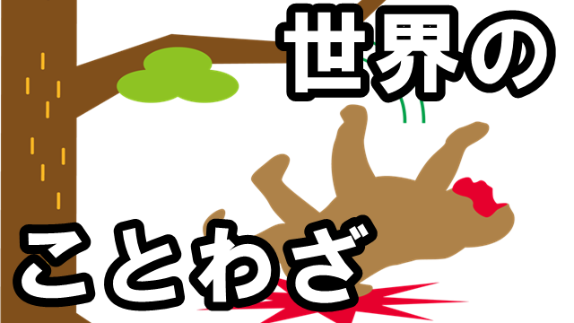 圧倒的に心に響く世界のことわざ個人的１０選 そして自由になった